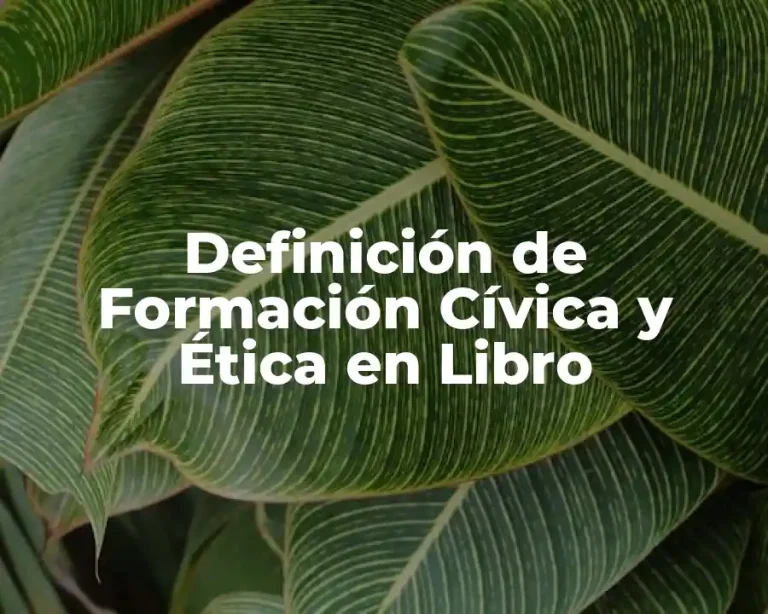 Definición de Formación Cívica y Ética en Libro