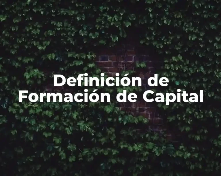 Definición de Formación de Capital