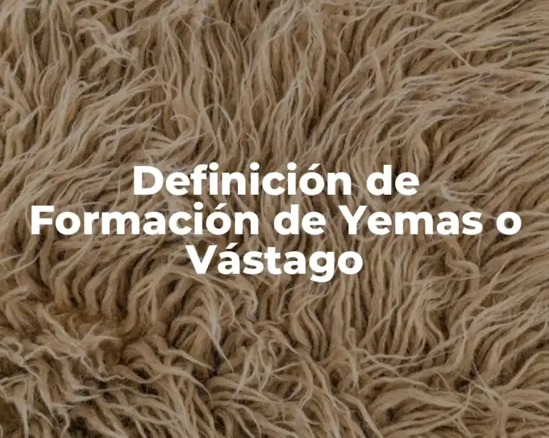Definición de Formación de Yemas o Vástago