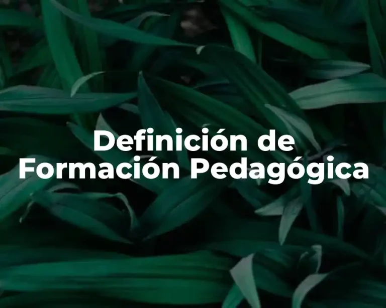 Definición de Formación Pedagógica