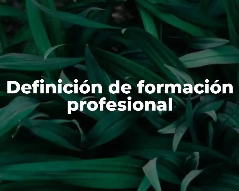 Definición de formación profesional