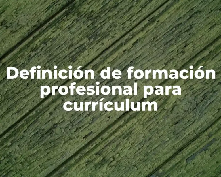Definición de formación profesional para currículum