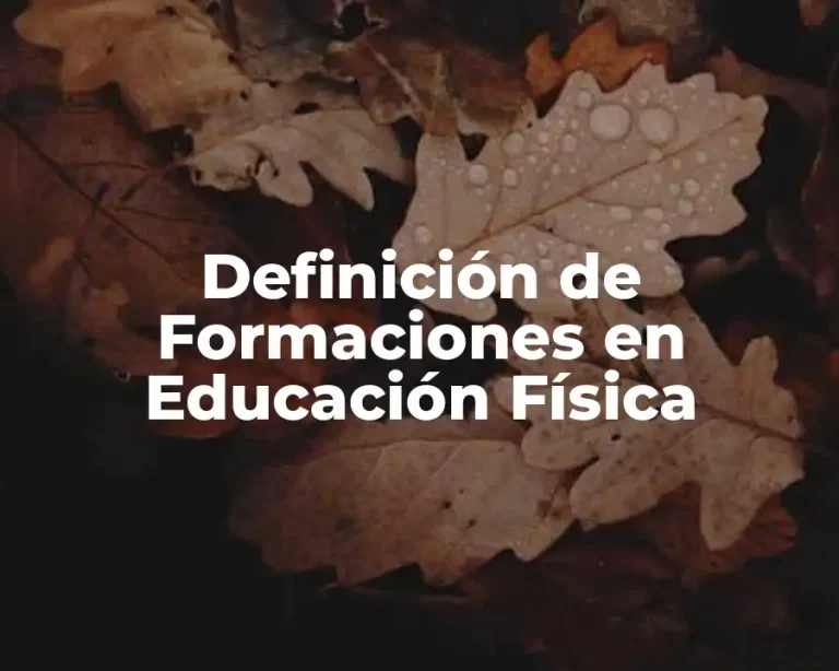 Definición de Formaciones en Educación Física