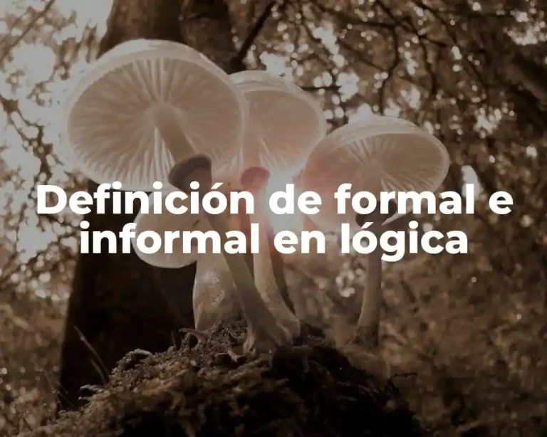 Definición de formal e informal en lógica