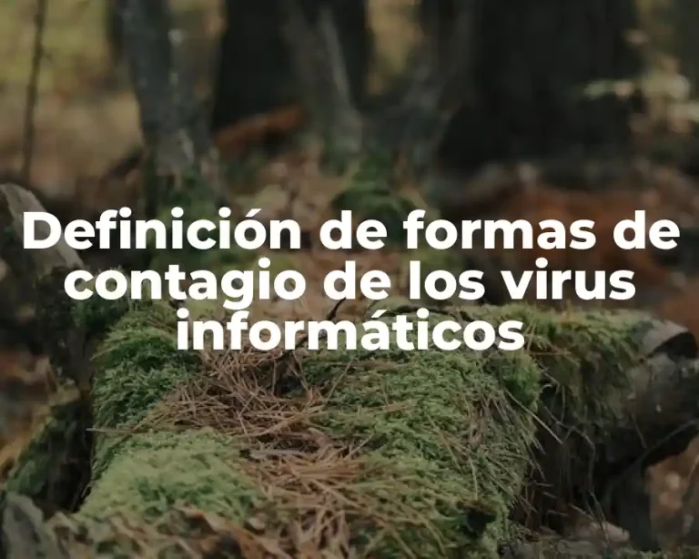 Definición de formas de contagio de los virus informáticos