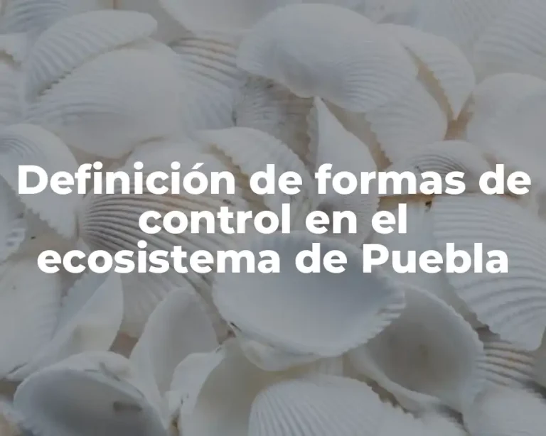 Definición de formas de control en el ecosistema de Puebla