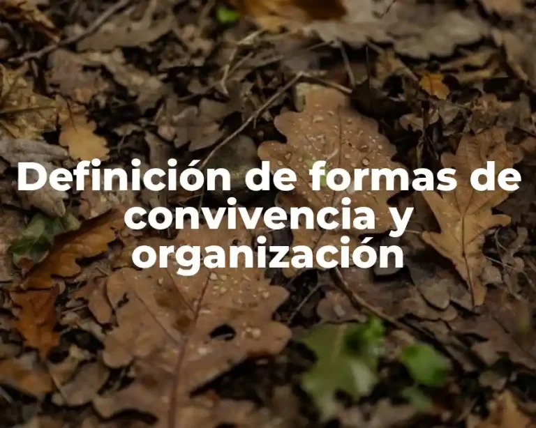 Definición de formas de convivencia y organización