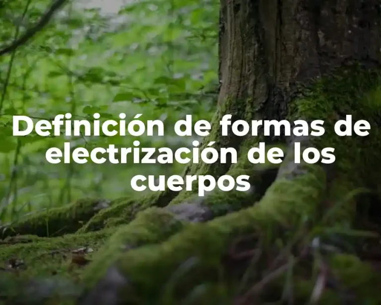 Definición de formas de electrización de los cuerpos