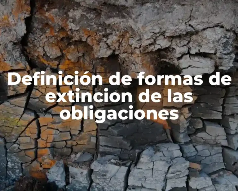 Definición de formas de extincion de las obligaciones