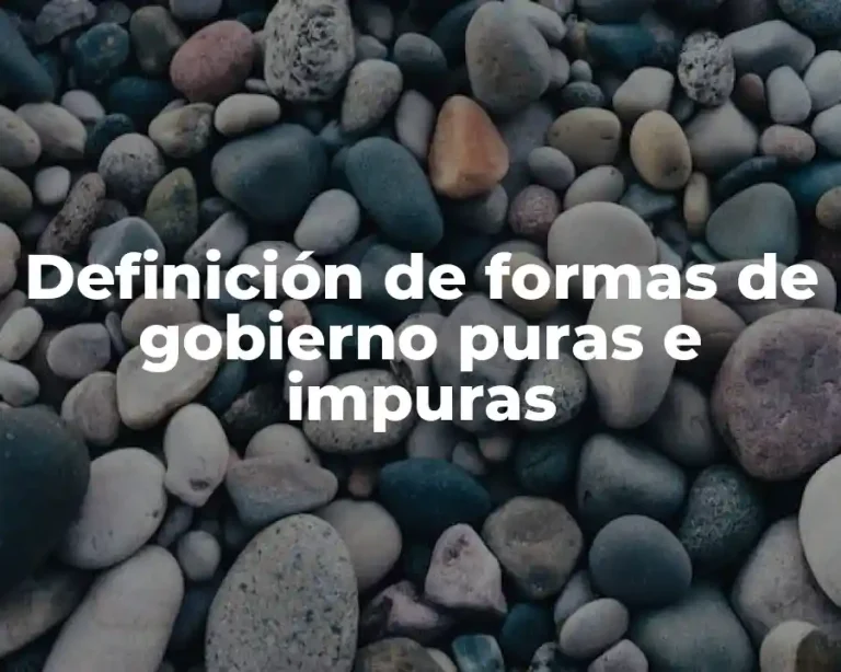 Definición de formas de gobierno puras e impuras