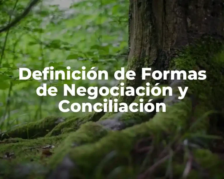 Definición de Formas de Negociación y Conciliación