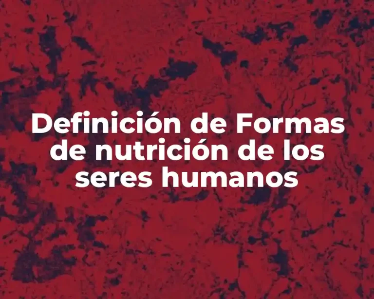 Definición de Formas de nutrición de los seres humanos