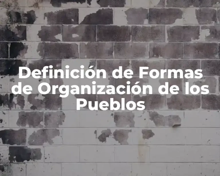 Definición de Formas de Organización de los Pueblos
