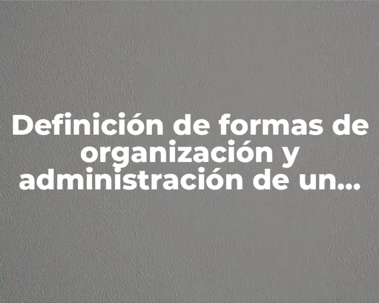 Definición de formas de organización y administración de un proyecto