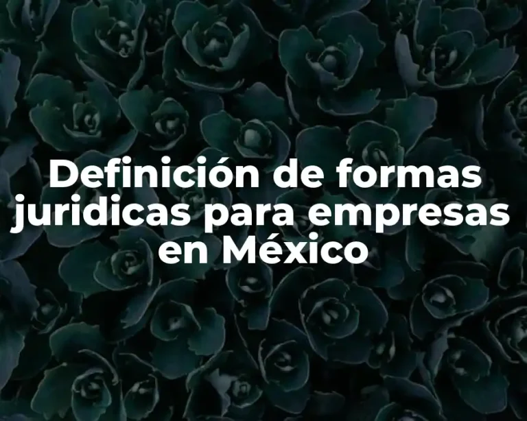 Definición de formas juridicas para empresas en México
