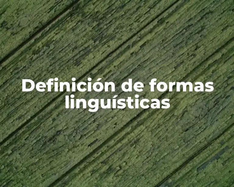Definición de formas linguísticas