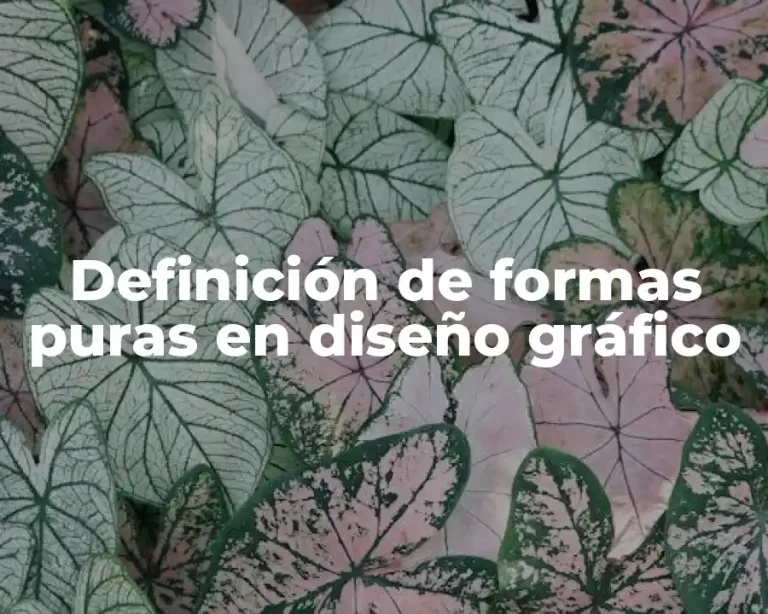 Definición de formas puras en diseño gráfico