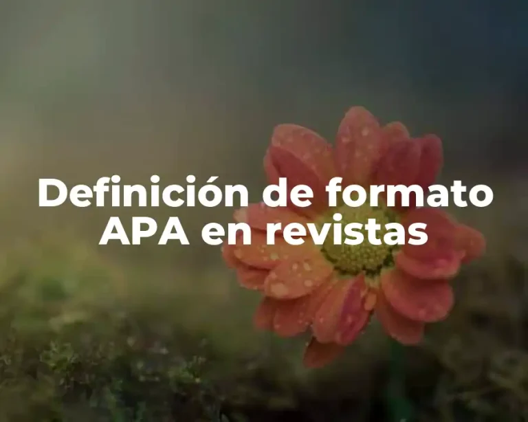 Definición de formato APA en revistas