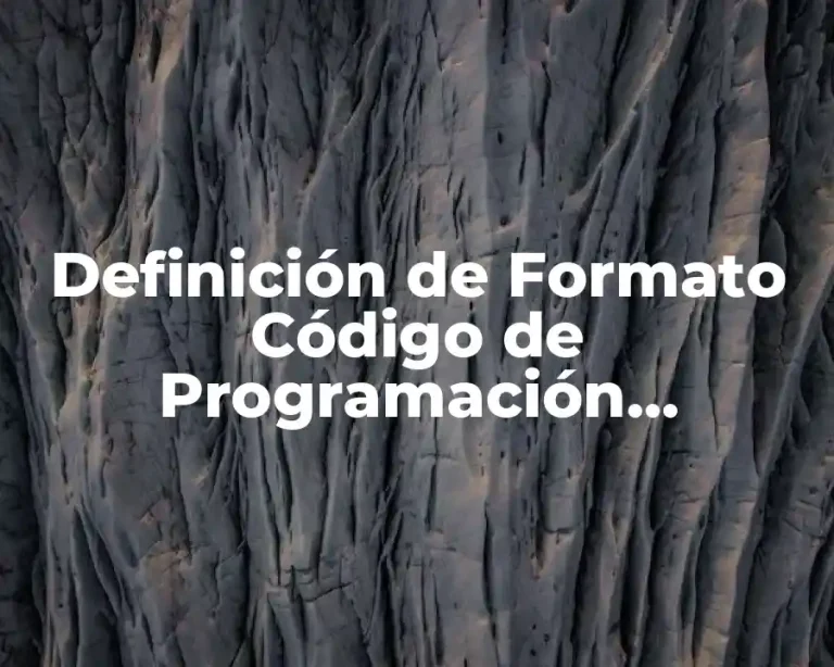 Definición de Formato Código de Programación Orientada a Objetos
