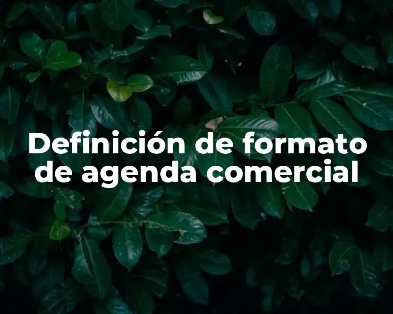 Definición de formato de agenda comercial
