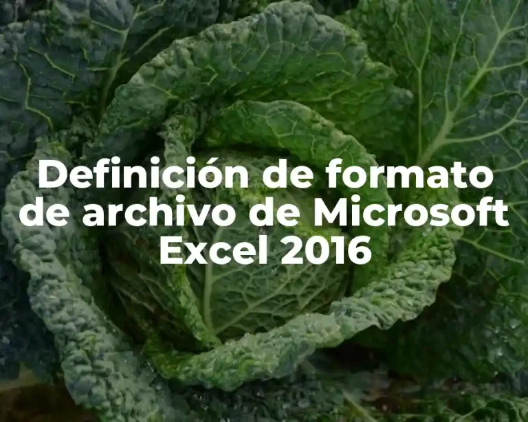 Definición de formato de archivo de Microsoft Excel 2016