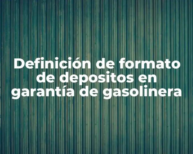 Definición de formato de depositos en garantía de gasolinera