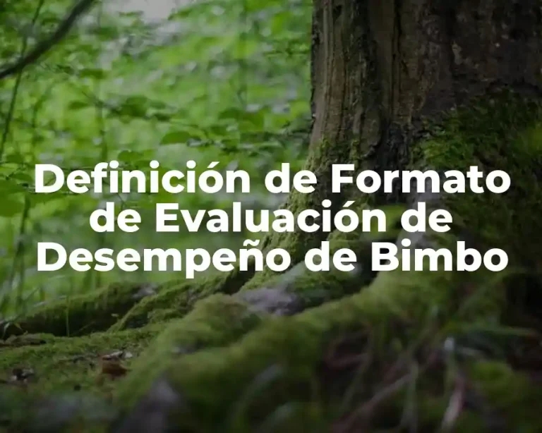 Definición de Formato de Evaluación de Desempeño de Bimbo