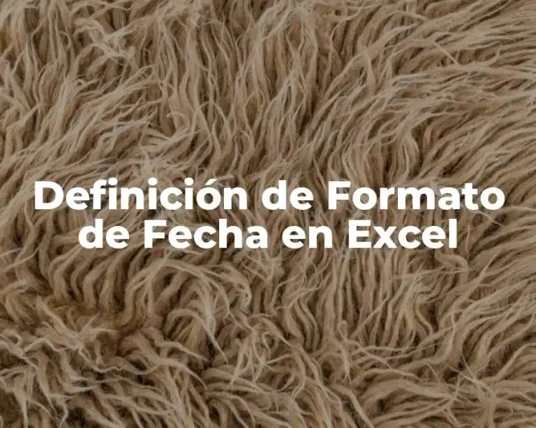Definición de Formato de Fecha en Excel