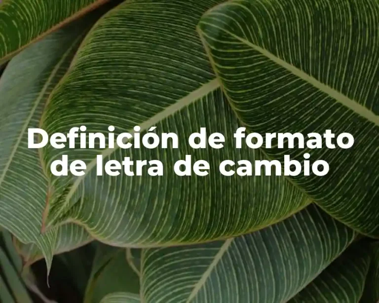 Definición de formato de letra de cambio