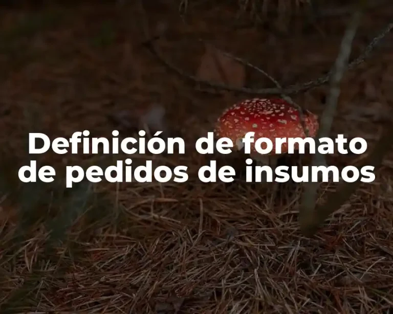 Definición de formato de pedidos de insumos