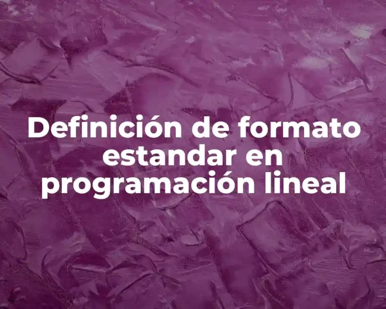 Definición de formato estandar en programación lineal