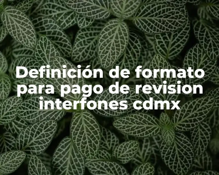 Definición de formato para pago de revision interfones cdmx