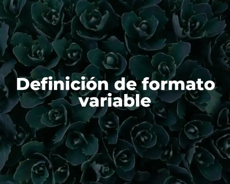 Definición de formato variable