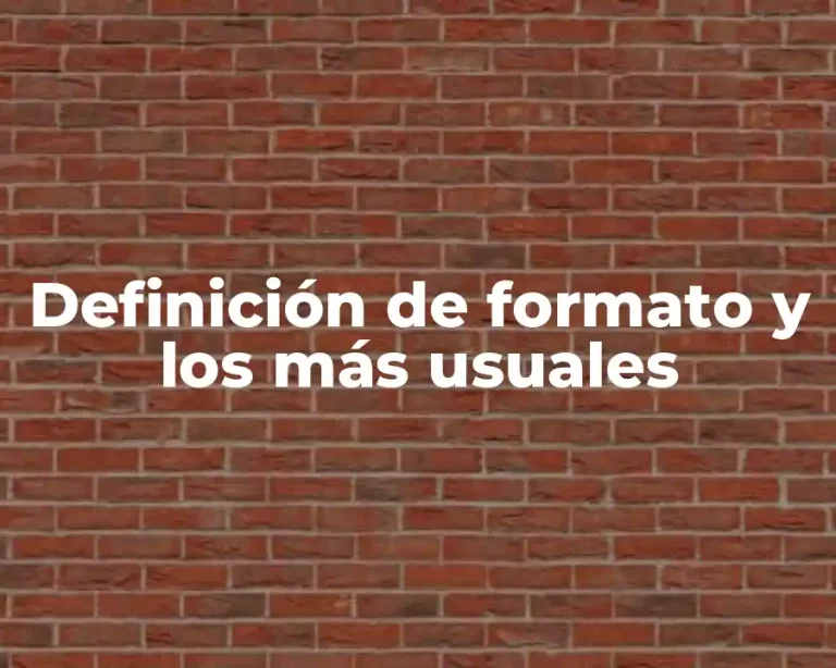 Definición de formato y los más usuales