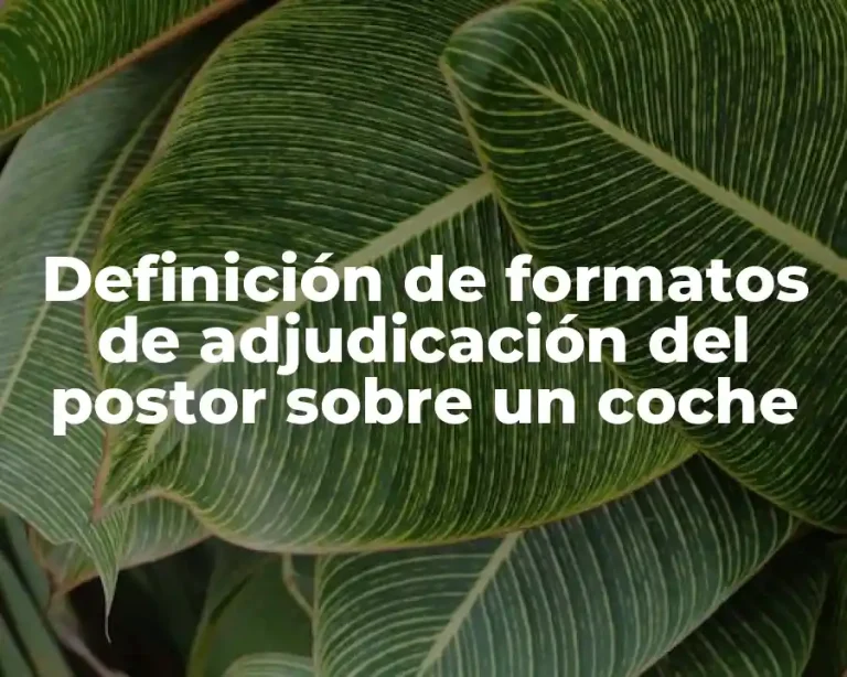 Definición de formatos de adjudicación del postor sobre un coche