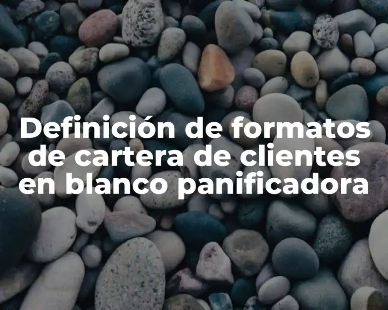 Definición de formatos de cartera de clientes en blanco panificadora