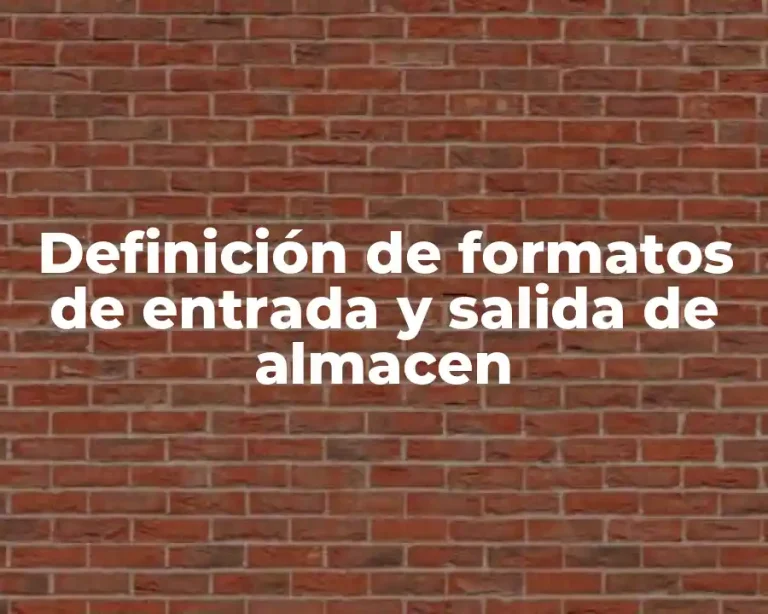 Definición de formatos de entrada y salida de almacen