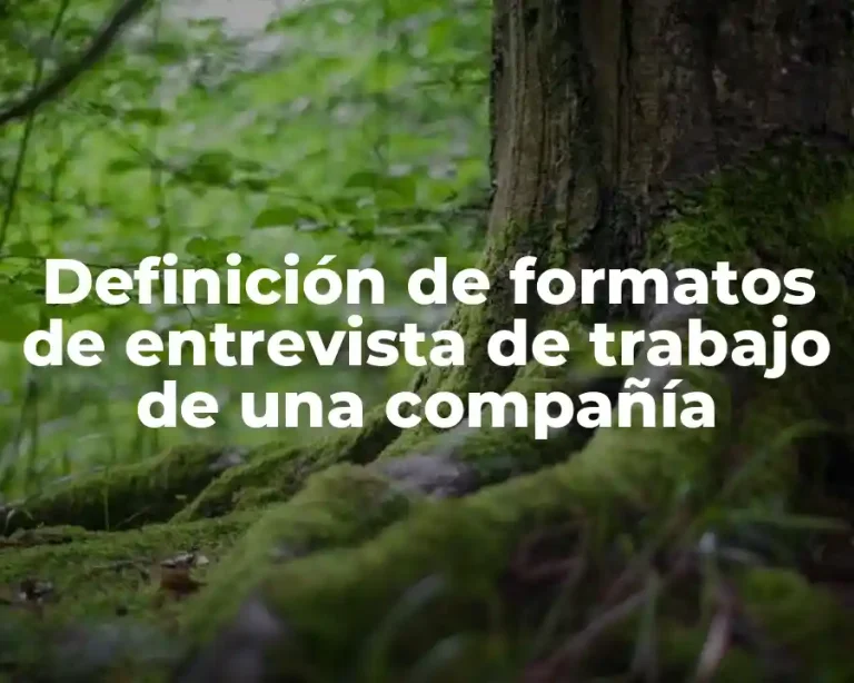 Definición de formatos de entrevista de trabajo de una compañía