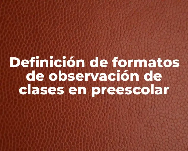 Definición de formatos de observación de clases en preescolar
