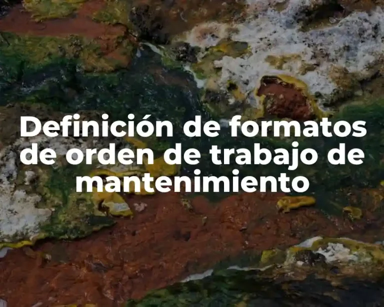Definición de formatos de orden de trabajo de mantenimiento
