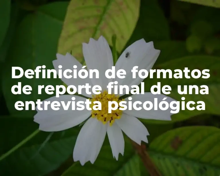 Definición de formatos de reporte final de una entrevista psicológica