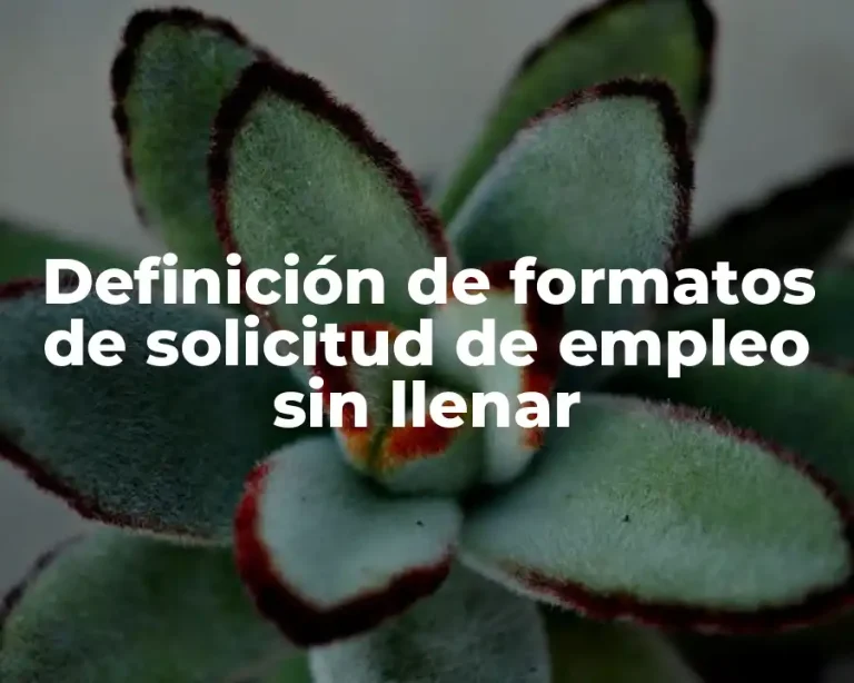 Definición de formatos de solicitud de empleo sin llenar