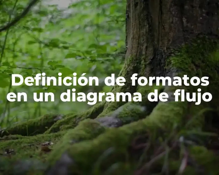 Definición de formatos en un diagrama de flujo