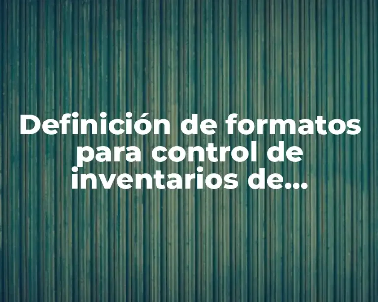 Definición de formatos para control de inventarios de abarrotes