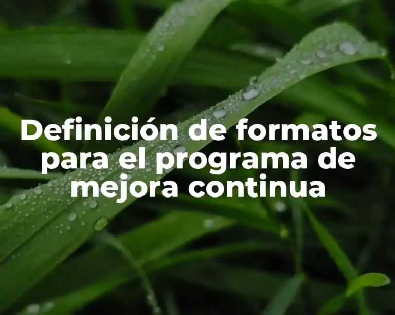 Definición de formatos para el programa de mejora continua