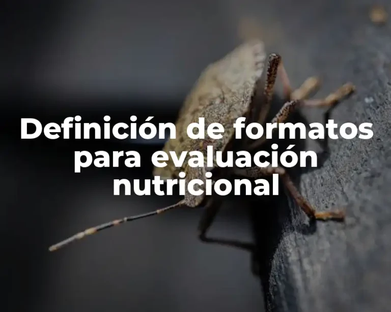 Definición de formatos para evaluación nutricional