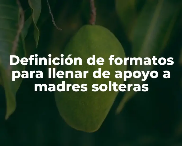 Definición de formatos para llenar de apoyo a madres solteras