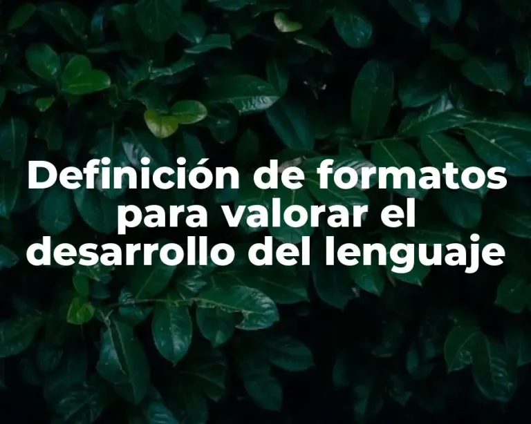 Definición de formatos para valorar el desarrollo del lenguaje