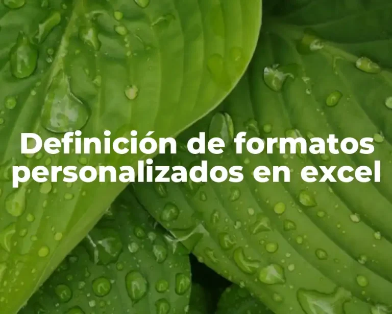 Definición de formatos personalizados en excel
