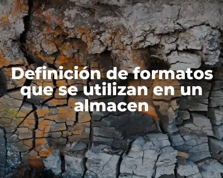Definición de formatos que se utilizan en un almacen